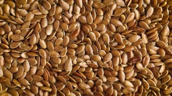 Flax Seed Stock Photo - Download Image Now - Flax Seed, Flax Crop - Image 4
