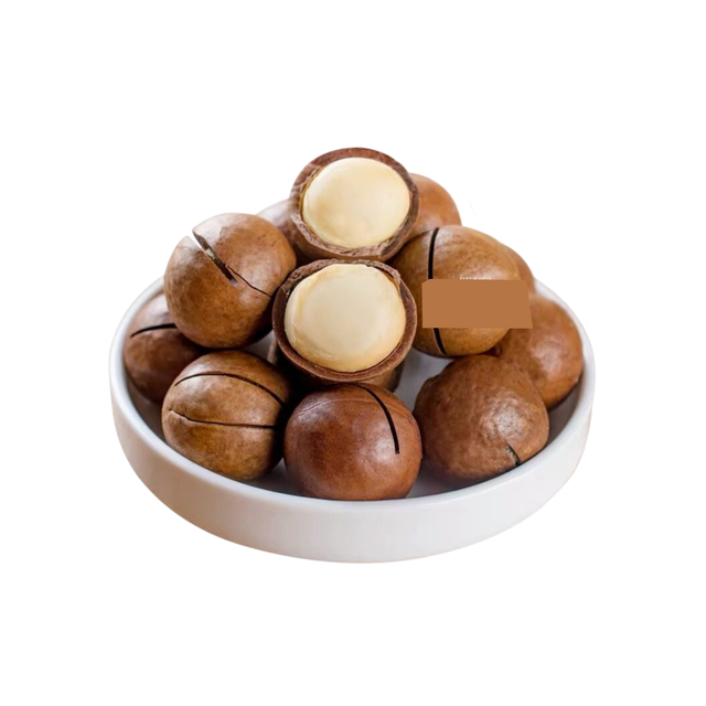 Macadamia nuts wholesale bulk supply affordable price high grade nuts - Image 3