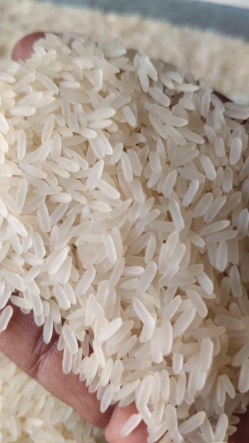 Indian IR64 Parboiled Rice 5% Broken | Long Grain Silky Polish Sortex Cleaned | 50kg PP Bag Export | ANS EXIM Container - Image 4