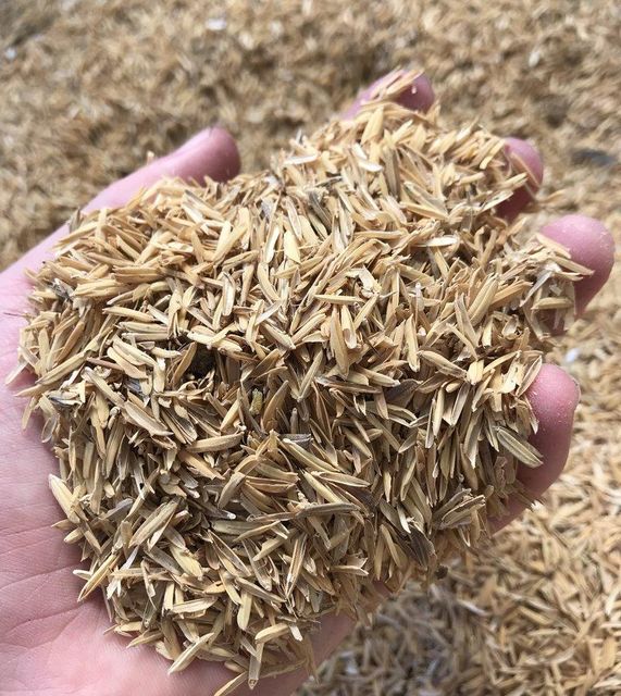 Rice Husk - Image 1