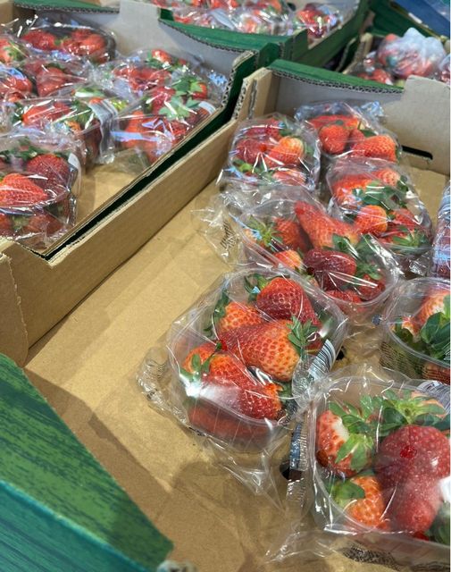 PREMIUM EXPORT QUALITY FRESH VIBRANT RED STRAWBERRIES 25mm+ 5Kg CARTONS ON SALE - Image 3