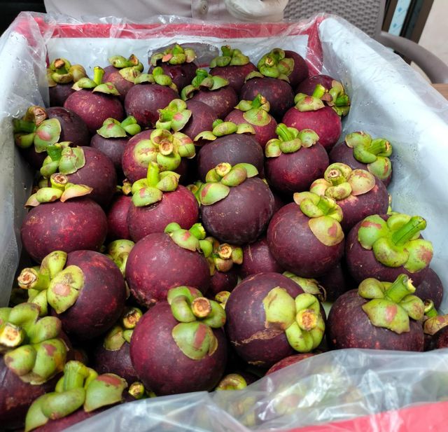 Mangosteen Grade A Packaging Details 10 - Image 1