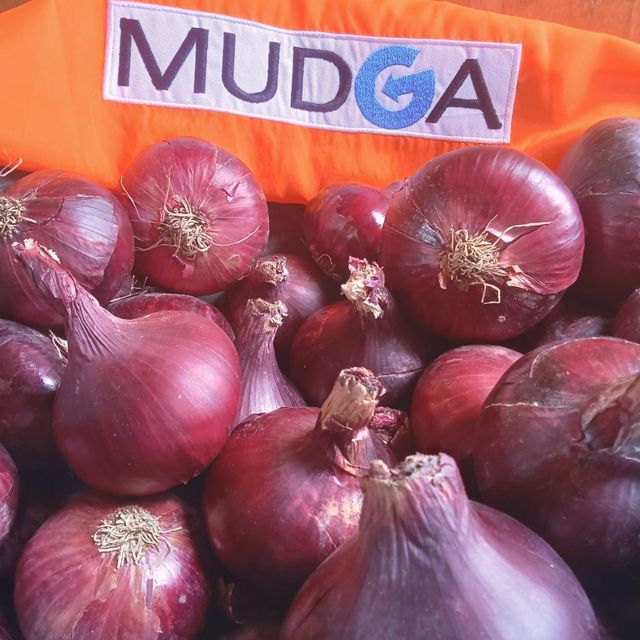 Fresh red onion – product photo 1, product detail gallery