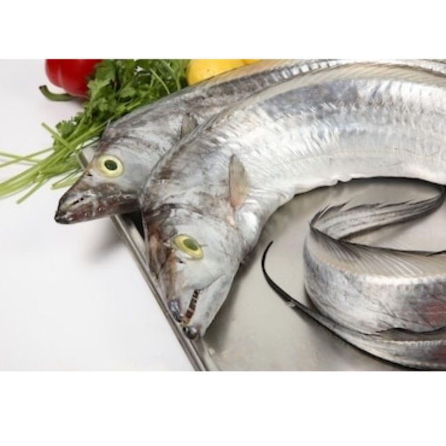 Frozen Ribbon Fish Deep Sea Harvest Product Featuring Rich Nutritional Benefits For Wholesale Seafood Markets - Image 1