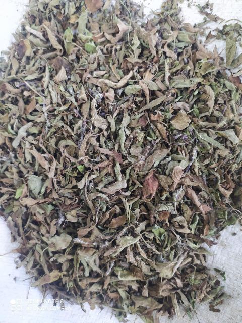 Dried Vana Tulsi Leaf Lemon Basil TBC Grade FOOD Color GREEN Digestive Aid Yes Packaging HDPE BAGS Max. Moisture (%) 8% Shelf Life 24 MONTHS - Image 4