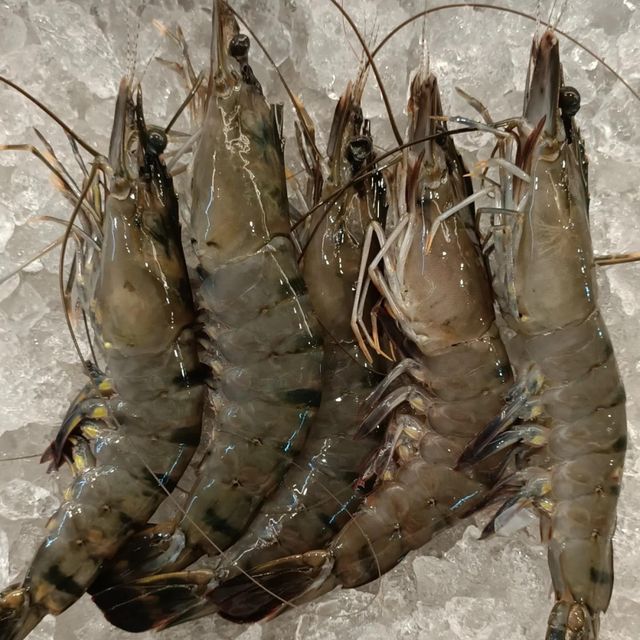 Frozen Tiger Shrimps Carefully Prepared Seafood With Natural Ocean Freshness Excellent Texture And Trusted Distribution - Image 3