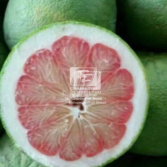 Fresh Green Pomelo citrus fruit Fresh Pomelo Fruit made in Vietnam honey pomelo - Image 5