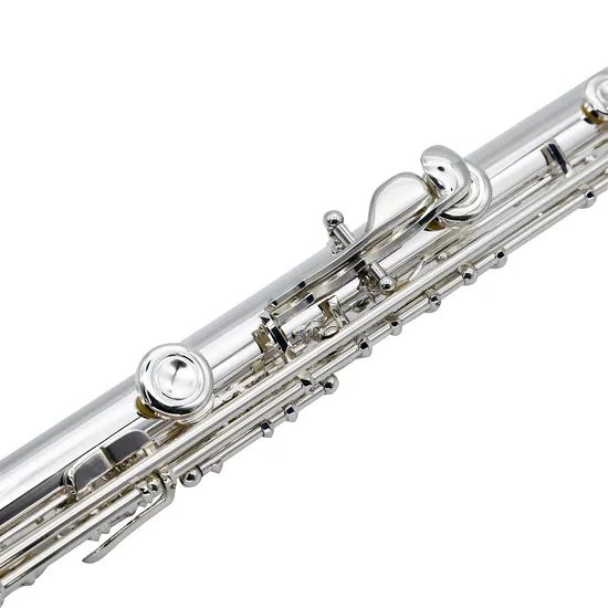 Curved Flute /Beginner Model /Cheap Musical Instrument - Image 6