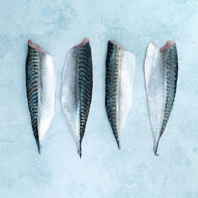 Frozen Mackerel Fish Wild Caught Ocean Selection With Excellent Freshness And Professional Export Preparation - Image 4