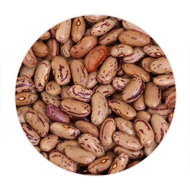 Organic Pinto Beans offered for health food and natural product markets - Image 1