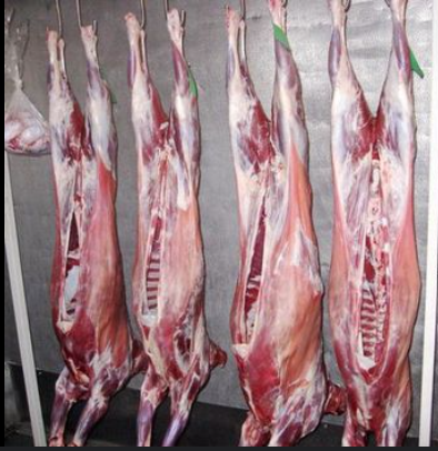 Frozen Lamb Carcass | Halal Certified | Whole & Half Carcass | Export Quality | Bulk Wholesale Supplier - Image 1