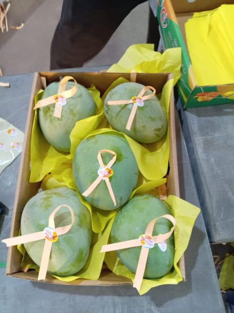 MANGO - Image 3