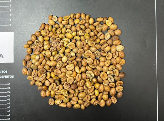 Robusta Coffee Beans – product photo 1, product detail gallery