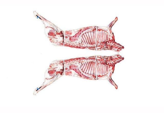 Yanchi Tan lanb(China's & World's Top Luxury Lamb) - Image 1