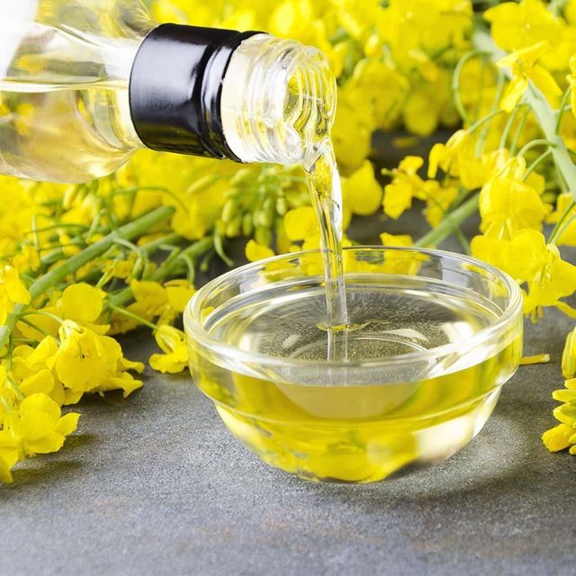 99% Pure Refined Canola Oil Bulk Shipment Canola Oil For Health Food Manufacturers And Large Scale Industrial Buyers - Image 4