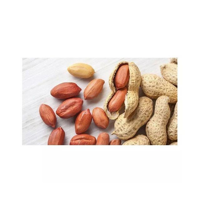 Fast delivery Peanuts bulk supply wholesale premium fresh stock - Image 4