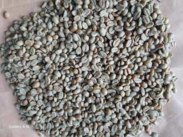 ETHIOPIAN ARABICA GREEN COFFEE BEANS - Image 1