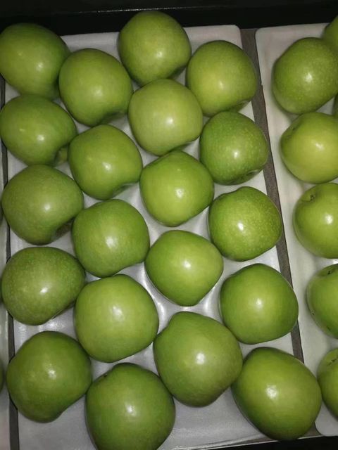 Premium Fresh Granny Smith Apples, Crisp Tart Juicy Grade A Green Fruits with Rich Nutrition - Image 4