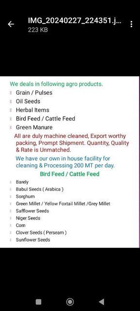 Safflower seed Purity 99% Packaging 30kg Pp Bag Weight Per Container 30kg Shipping Capacity 18 Mt Per - Image 1