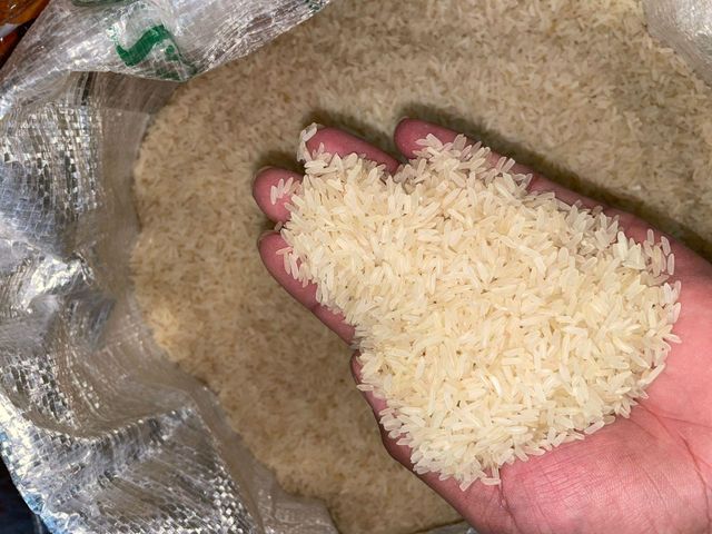 Rice - Image 2