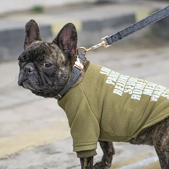 High Quality Woolen Dog Leash Custom Metal Chain Collar - Image 4