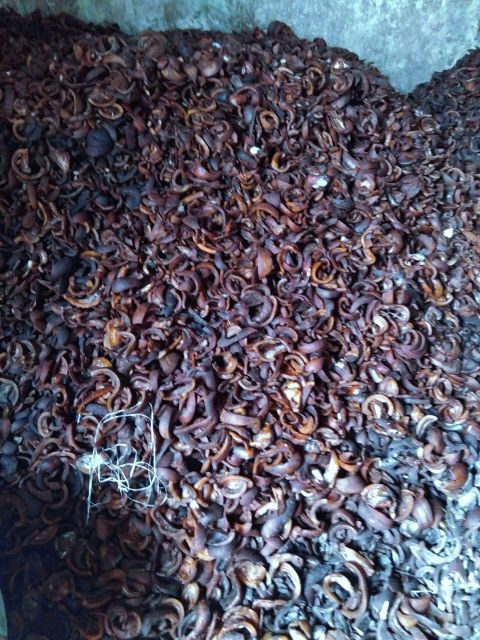 Dried Black Copra - Image 4