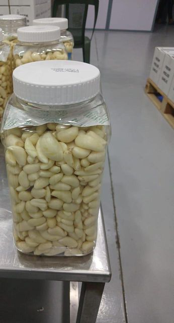 fresh& frozen garlic - Image 4