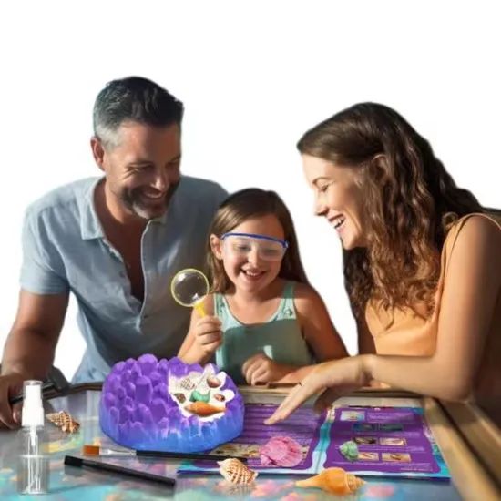 Wholesale Ocean Fossil Kit Science Educational Fossil Collection Gift Dig Kits Toys - Image 4