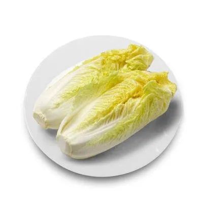 Chinese Baby Cabbage Fresh Cabbage for Export - Image 2