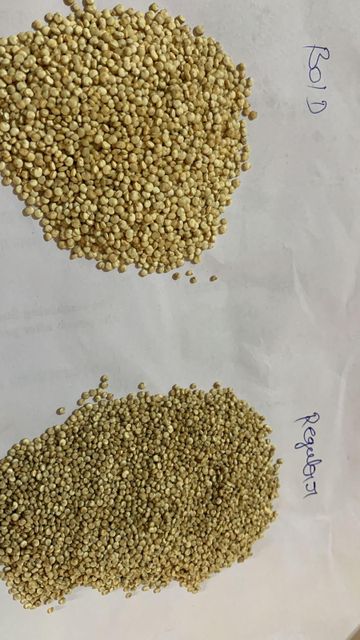 organic white Quinoa bold Color White Texture Fluffy Flavor Mild Nutty Grain Size Large Bold Cooking Time Quick Cooking Purity Chemical-free & - Image 1