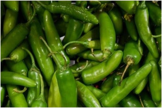 Top Grade Fresh Green Chili Wholesale Stock With Reliable Supply - Image 3