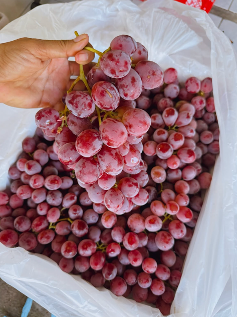 Refreshing Taste Premium Fresh Red Grapes | Export Quality Fresh Sweet Grapes 5kg Bags On Sale - Image 2