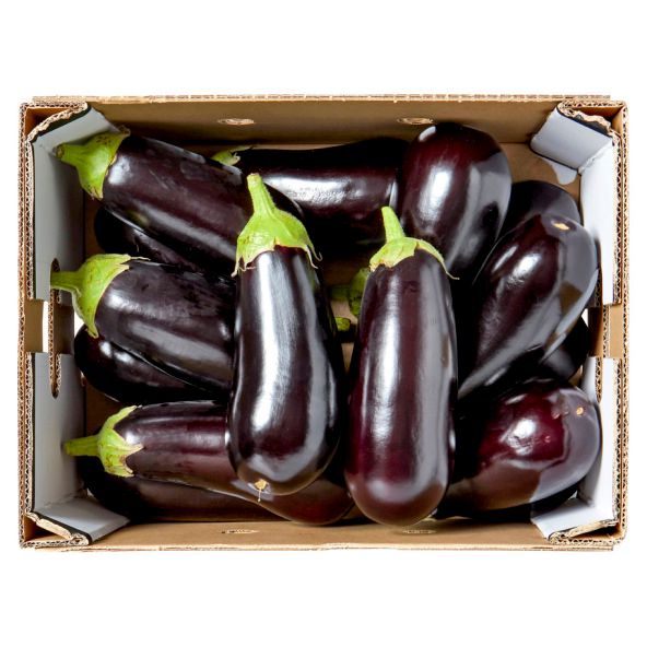 Black Eggplants Shape Uniform Quality Excellent Color Glossy Deep Black Packaging Professionally Packed Harvest Location Iran's Finest Farms - Image 2