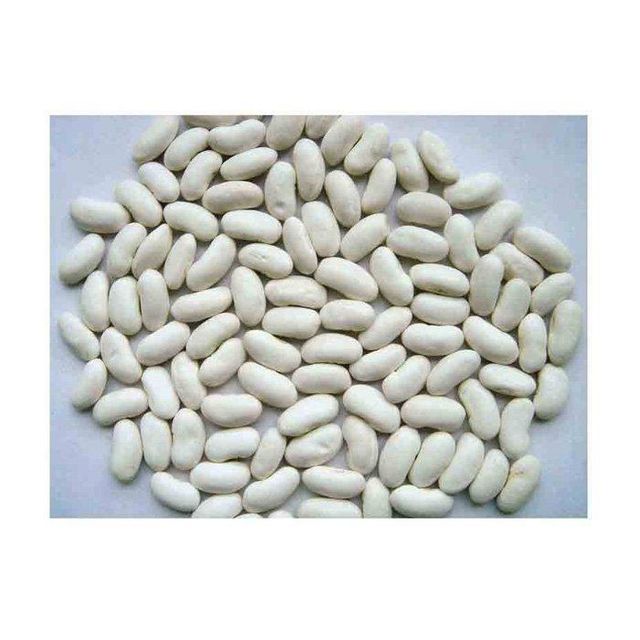 premium white beans for cooking soups stews salads and healthy recipes natural whole white beans rich in plant protein fiber iron and essential nutrients perfect for vegetarian vegan meals home kitchens restaurants and balanced diets - Image 1