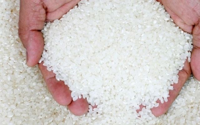Vietnamese Short Grain Rice/Japonica rice Quality Export - Healthy and Delicious - Image 4