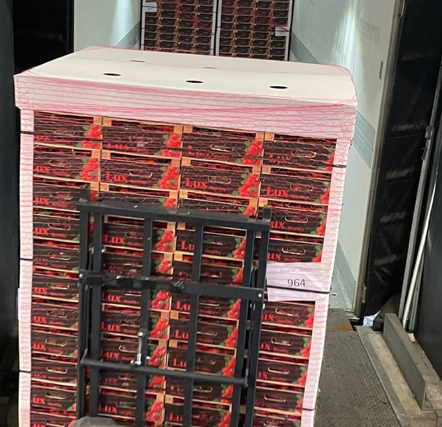 Best Brand Lux Strawberries 25mm Fresh Red Strawberries 10Kg Box Harvested At Optimal Ripeness - Image 3