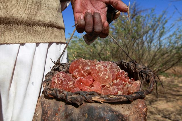 Gum Arabic Natural Acacia Gum for Food Beverage Cosmetic Pharmaceutical and Industrial Applications - Image 3