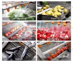 304 Stainless Steel Bubble Vegetable Fruit Washer Automatic Cleaning Machine for Food Processing Industry - Image 4