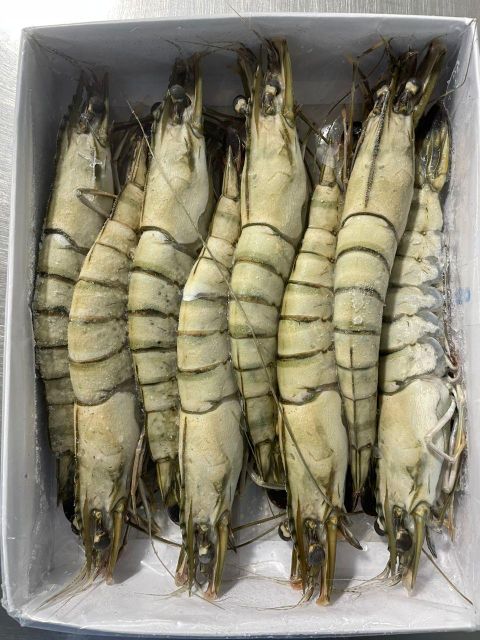 Frozen Black Tiger Shrimp HOSO - Image 2