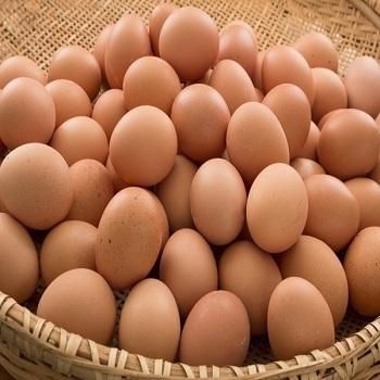 Fresh Chicken Brown Table Eggs - Image 2
