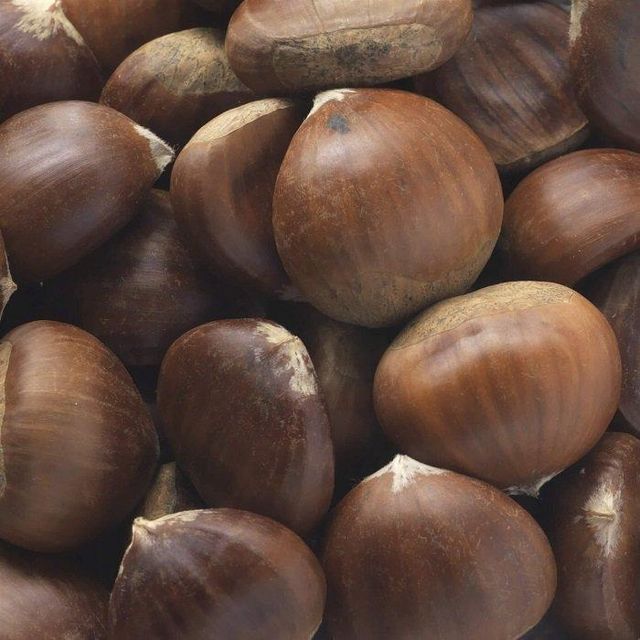 Best Wholesale Price High Quality 100% Organic Dried Bulk Chopped Water ChestNut Calling for Worldwide Distributors - Image 3