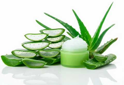 Aloe Vera- The Miracle Plant Grade A Place of Origin - Image 3