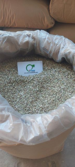 Egyptian Fennel Seeds – Premium Export Quality | Whole Cleaned Fennel Seeds Bulk Supplier - Image 3