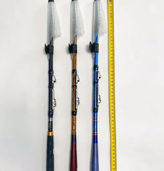 PRO Angler High Performance Fishing Rod Collection for All Environments - Image 1