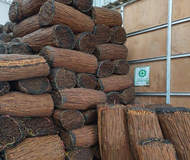 Cassia Cinnamons Packaging 20-25 Kg Max. Moisture (%) - Image 4