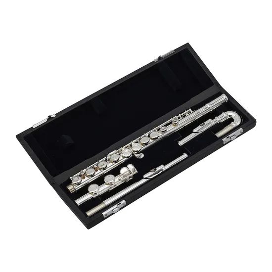 Curved Flute /Beginner Model /Cheap Musical Instrument - Image 1