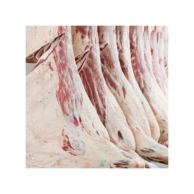 High grade frozen pork carcass prepared for food distribution and commercial supply needs - Image 3