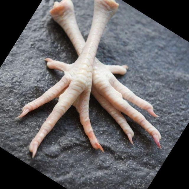 Hot Selling Frozen Chicken Feet High Quality Frozen Chicken Feet Ideal for Food Processing Restaurants and Export - Image 4