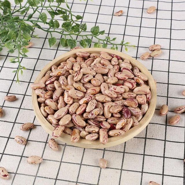 Wholesale British Light Speckled Kidney Beans Dried Raw 24 Months Shelf Life for Food Use Bulk Packaging Available - Image 5