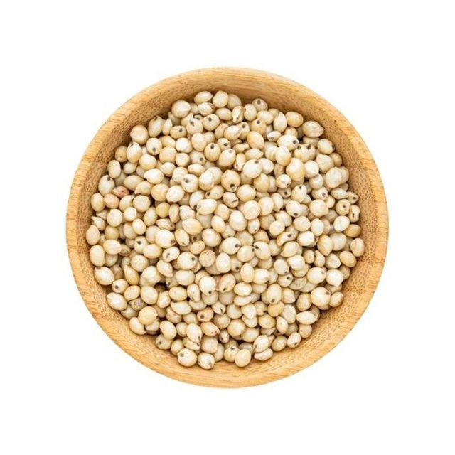 Bulk sorghum grains wholesale in 25kg and 50kg export bags - Image 4